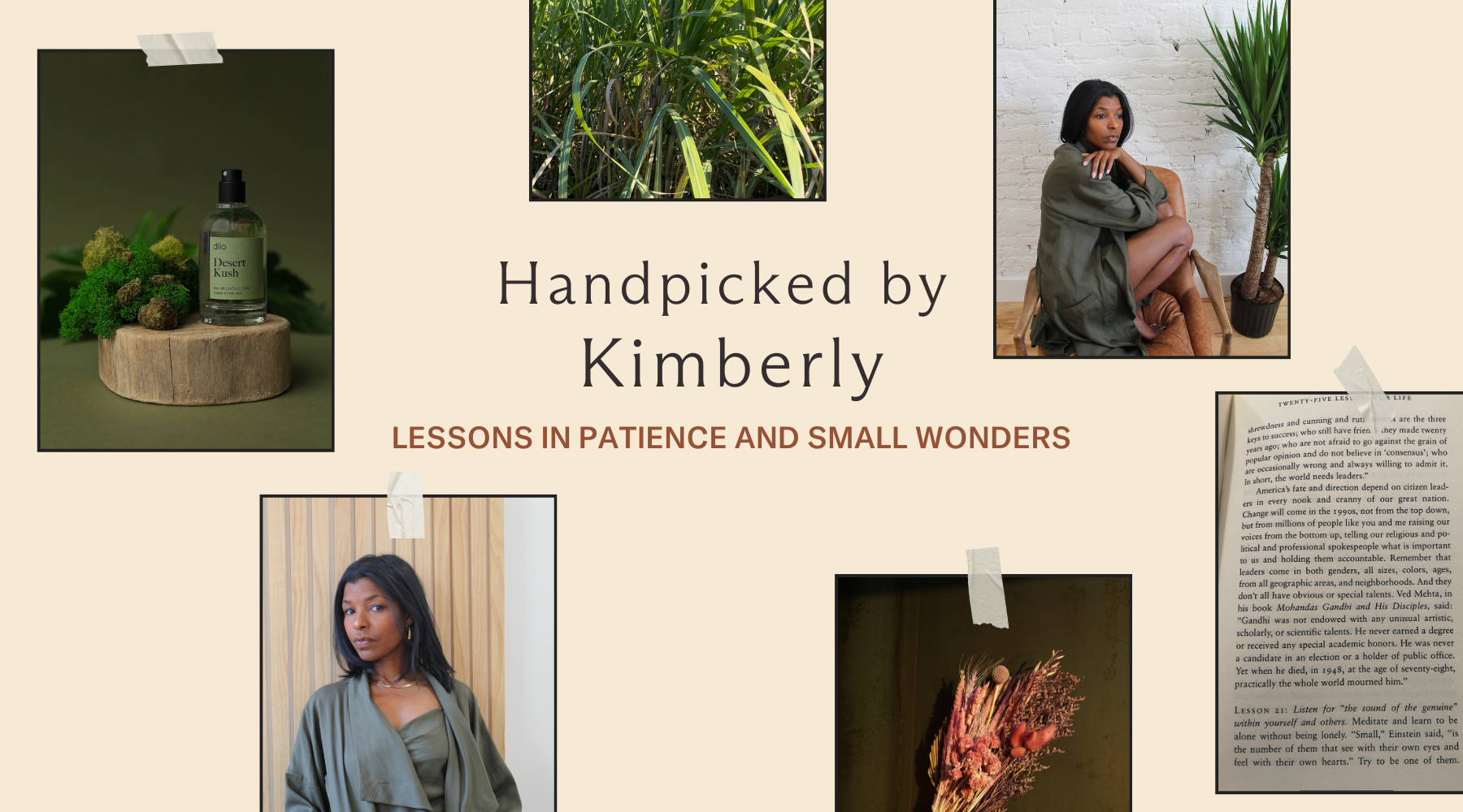 Handpicked by Kimberly: Lessons in Patience and Small Wonders